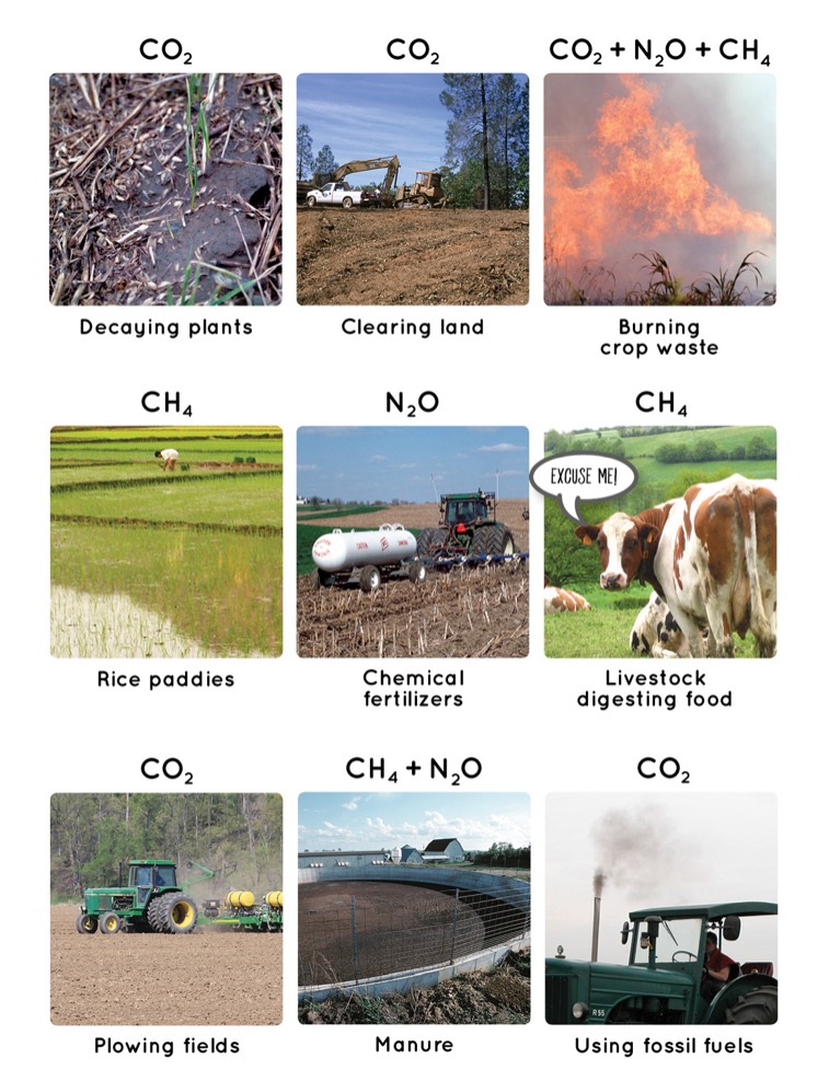 Greenhouse Gasses