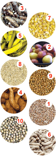 Top Ten Food Crops Answers Agronomy 4 Me