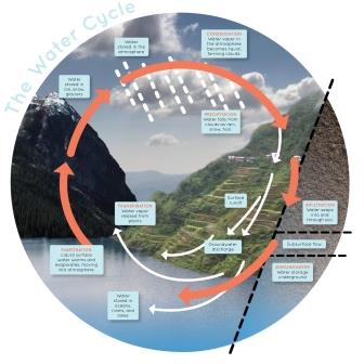 Water Cycle