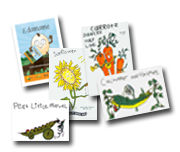 Seed Packets